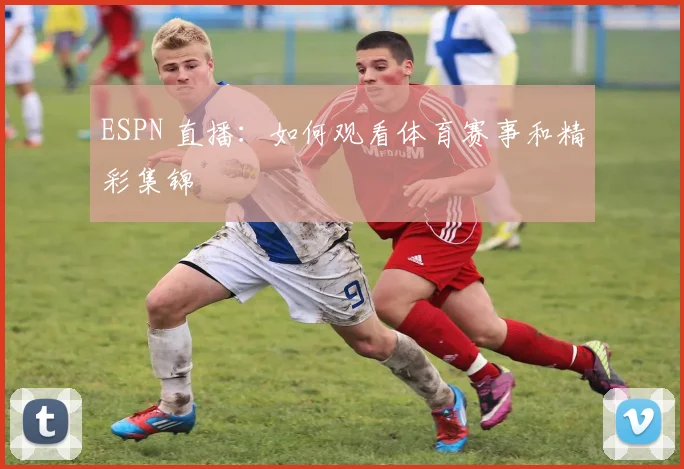 ESPN 直播：如何观看体育赛事和精彩集锦
