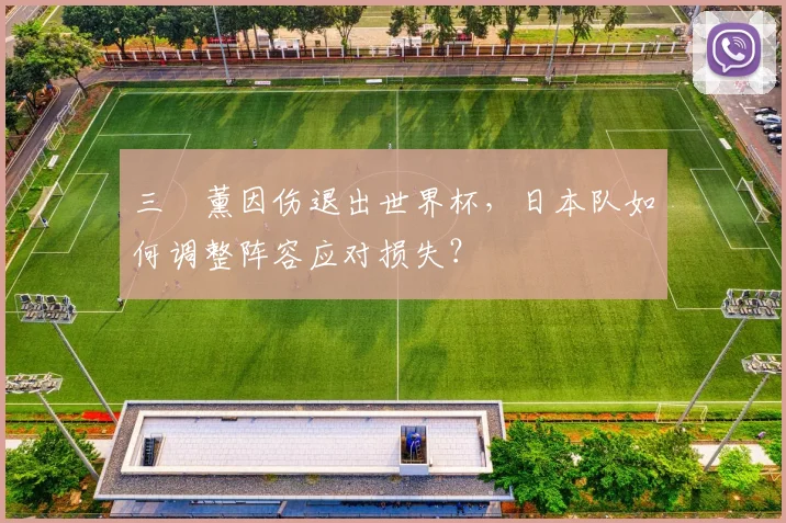三笘薰因伤退出世界杯，日本队如何调整阵容应对损失？